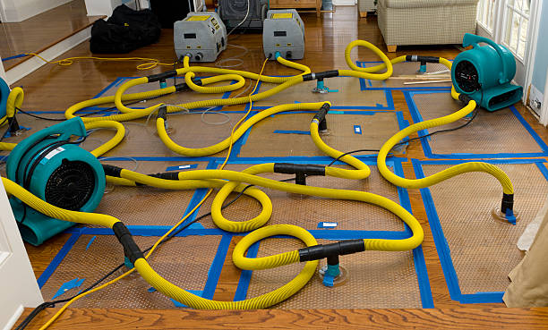 Professional Crawl Space Water Removal technician working in Gordon, TX